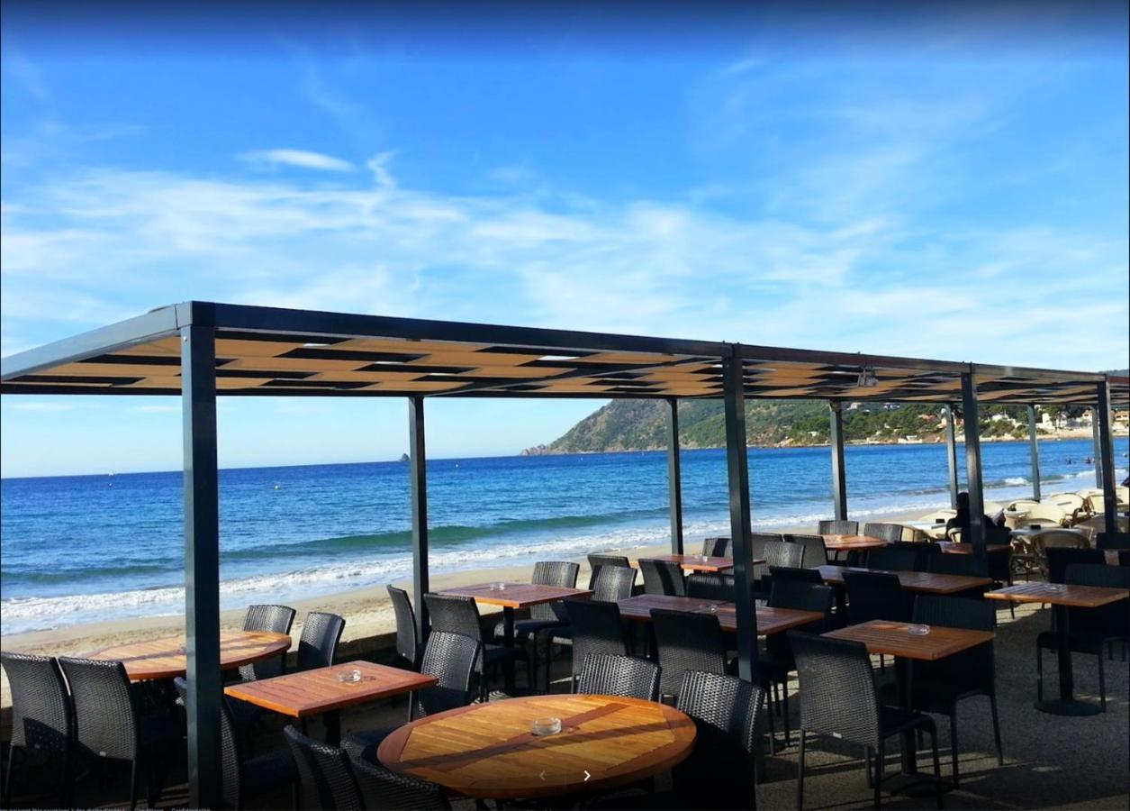 Bas De Villa Jardin Plein Sud Proche Mer Clim-Wifi Saint-Mandrier-sur-Mer Exteriér fotografie